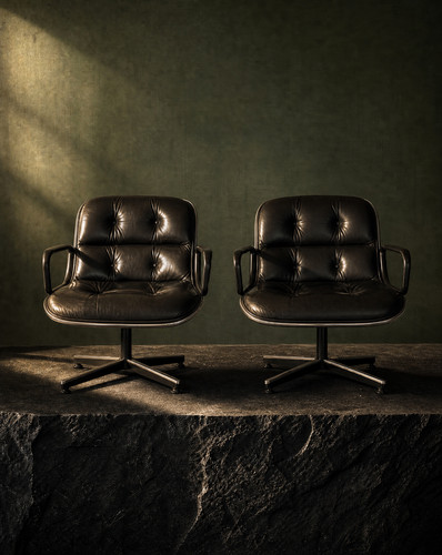 Paire fauteuils executive - paire,